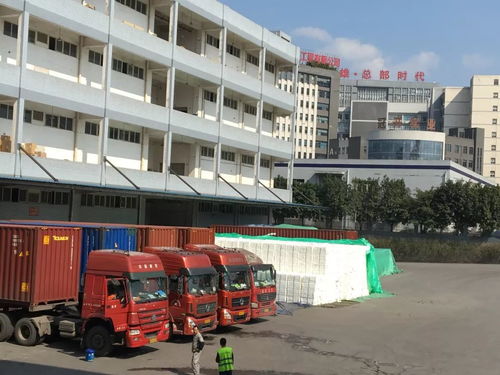 力天國際物流給您拜年啦 感謝社會各界領(lǐng)導 客戶及朋友們的厚愛與支持,堅持物流產(chǎn)品經(jīng)營理念繼續(xù)前行
